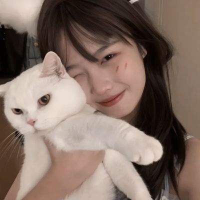 挂机春秋破解版下载